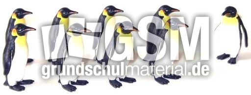 Pingu8+1.jpg